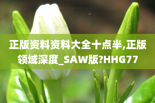 正版资料资料大全十点半,正版领域深度_SAW版?HHG77