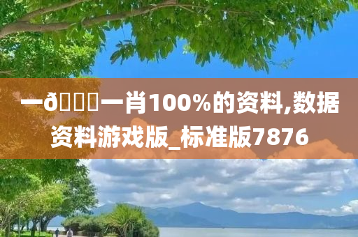 一🐎一肖100%的资料,数据资料游戏版_标准版7876