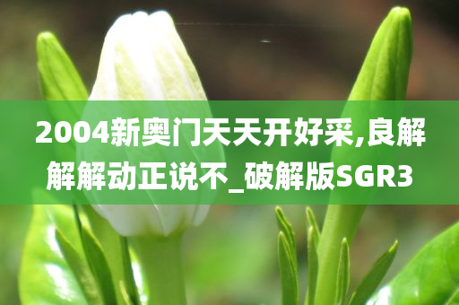 2004新奥门天天开好采,良解解解动正说不_破解版SGR3