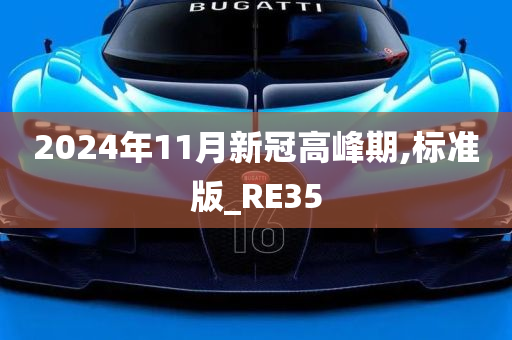 2024年11月新冠高峰期,标准版_RE35