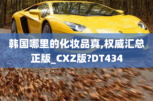 韩国哪里的化妆品真,权威汇总正版_CXZ版?DT434