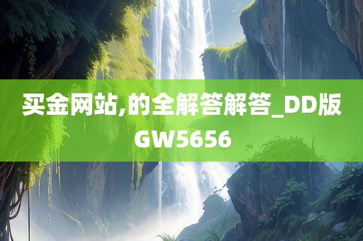 买金网站,的全解答解答_DD版GW5656