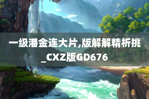 一级潘金连大片,版解解精析挑_CXZ版GD676