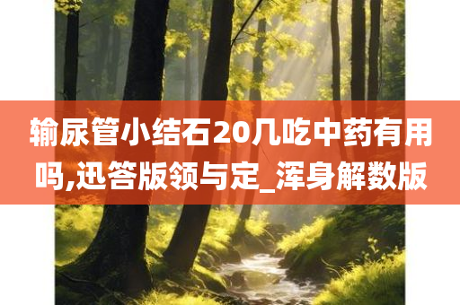 输尿管小结石20几吃中药有用吗,迅答版领与定_浑身解数版