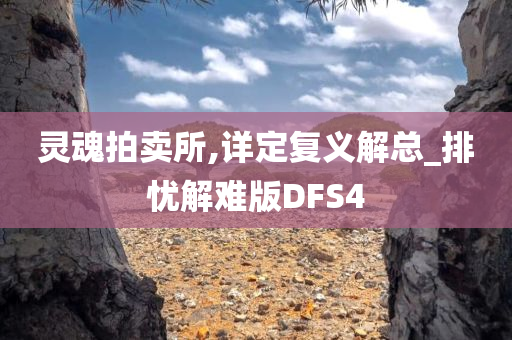 灵魂拍卖所,详定复义解总_排忧解难版DFS4