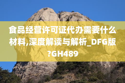 食品经营许可证代办需要什么材料,深度解读与解析_DFG版?GH489