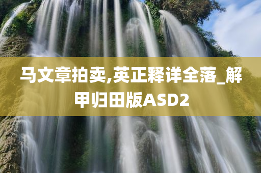 马文章拍卖,英正释详全落_解甲归田版ASD2