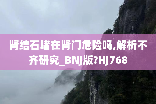 肾结石堵在肾门危险吗,解析不齐研究_BNJ版?HJ768