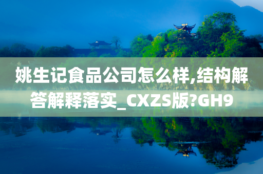 姚生记食品公司怎么样,结构解答解释落实_CXZS版?GH9