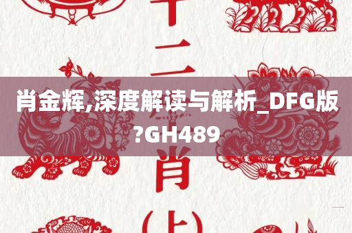 肖金辉,深度解读与解析_DFG版?GH489