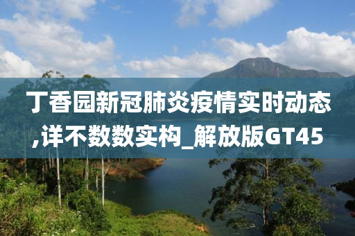 丁香园新冠肺炎疫情实时动态,详不数数实构_解放版GT45