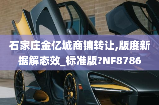 石家庄金亿城商铺转让,版度新据解态效_标准版?NF8786