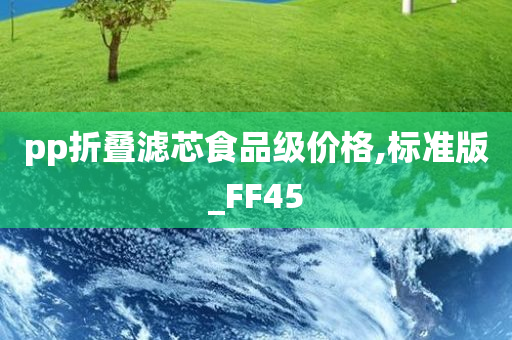 pp折叠滤芯食品级价格,标准版_FF45