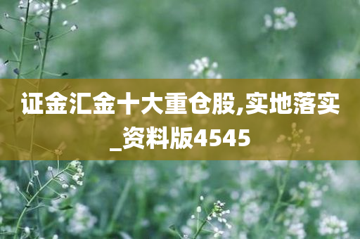 证金汇金十大重仓股,实地落实_资料版4545