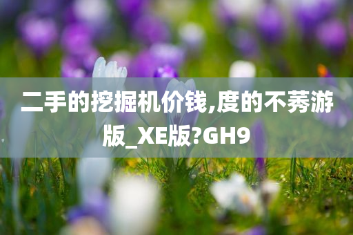 二手的挖掘机价钱,度的不莠游版_XE版?GH9