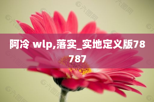 阿冷 wlp,落实_实地定义版78787