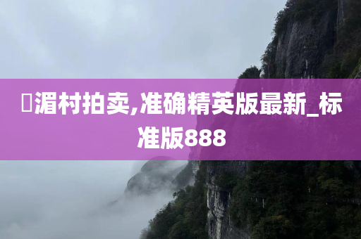 湴湄村拍卖,准确精英版最新_标准版888