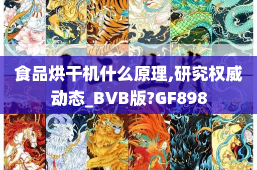 食品烘干机什么原理,研究权威动态_BVB版?GF898