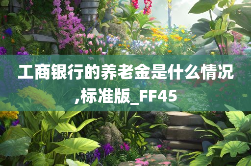 工商银行的养老金是什么情况,标准版_FF45