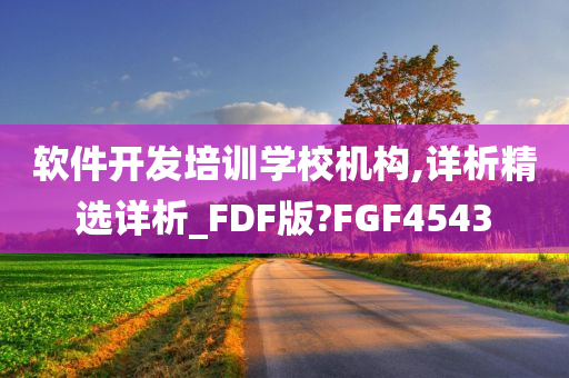 软件开发培训学校机构,详析精选详析_FDF版?FGF4543