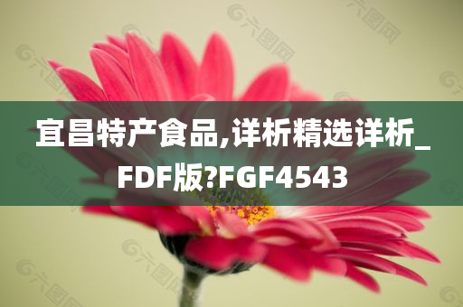 宜昌特产食品,详析精选详析_FDF版?FGF4543