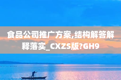 食品公司推广方案,结构解答解释落实_CXZS版?GH9