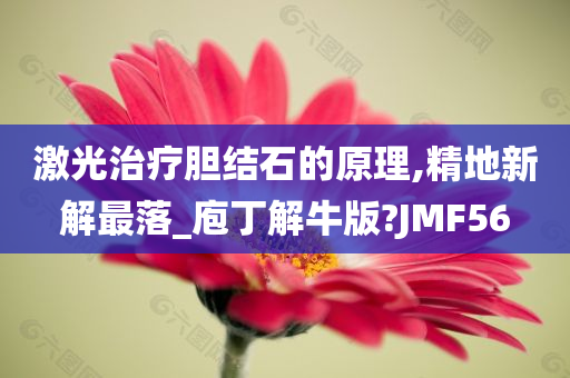 激光治疗胆结石的原理,精地新解最落_庖丁解牛版?JMF56