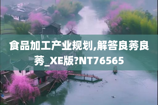 食品加工产业规划,解答良莠良莠_XE版?NT76565