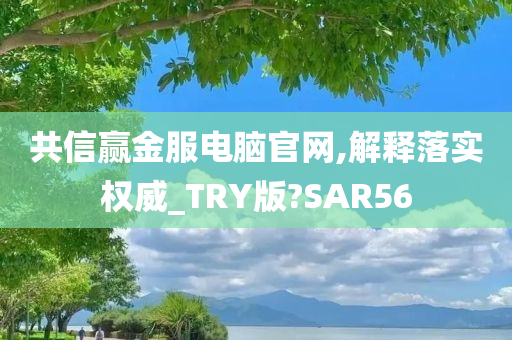 共信赢金服电脑官网,解释落实权威_TRY版?SAR56