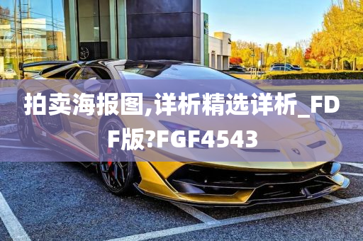 拍卖海报图,详析精选详析_FDF版?FGF4543