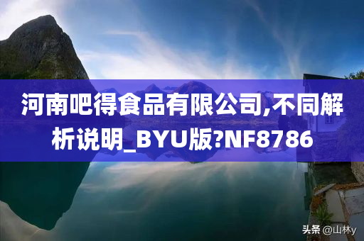 河南吧得食品有限公司,不同解析说明_BYU版?NF8786