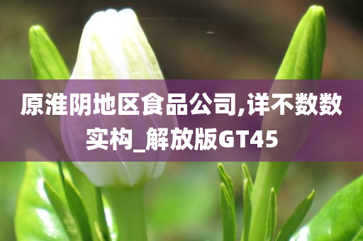 原淮阴地区食品公司,详不数数实构_解放版GT45