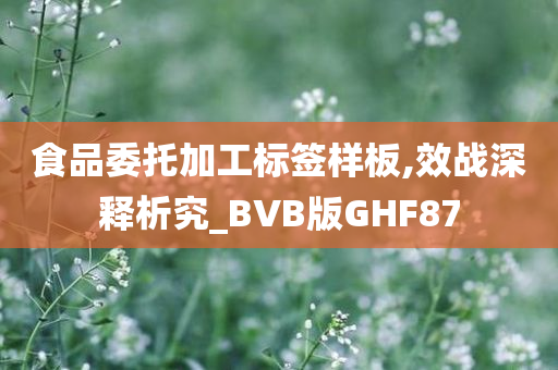 食品委托加工标签样板,效战深释析究_BVB版GHF87