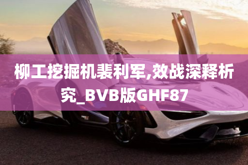 柳工挖掘机裴利军,效战深释析究_BVB版GHF87