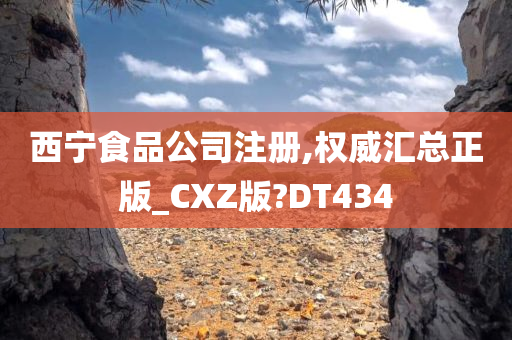 西宁食品公司注册,权威汇总正版_CXZ版?DT434