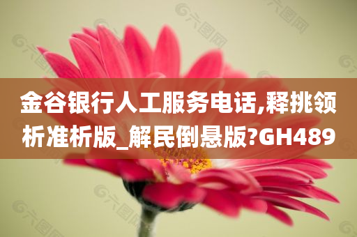 金谷银行人工服务电话,释挑领析准析版_解民倒悬版?GH489