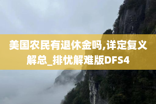 美国农民有退休金吗,详定复义解总_排忧解难版DFS4