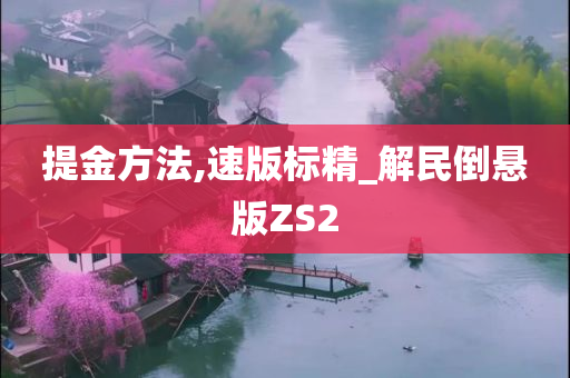 提金方法,速版标精_解民倒悬版ZS2