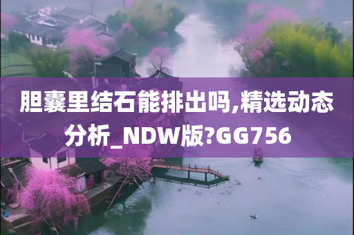 胆囊里结石能排出吗,精选动态分析_NDW版?GG756