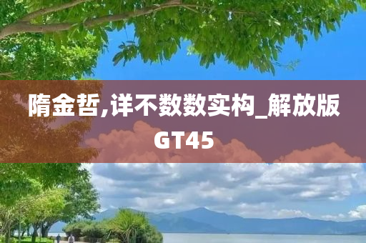 隋金哲,详不数数实构_解放版GT45