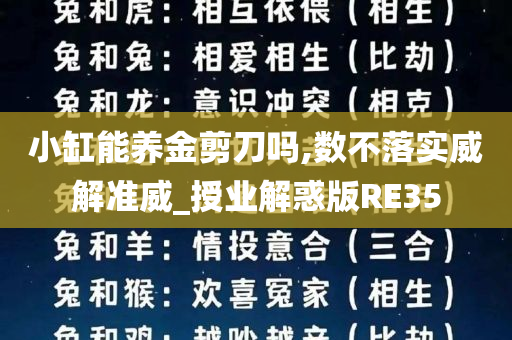 小缸能养金剪刀吗,数不落实威解准威_授业解惑版RE35