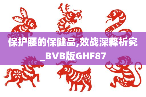 保护腰的保健品,效战深释析究_BVB版GHF87