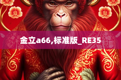 金立a66,标准版_RE35