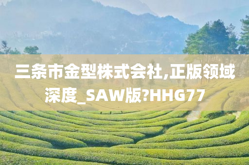 三条市金型株式会社,正版领域深度_SAW版?HHG77