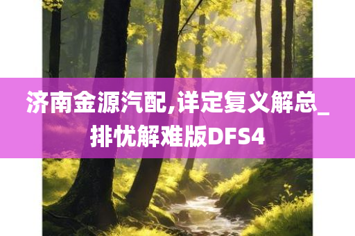 济南金源汽配,详定复义解总_排忧解难版DFS4