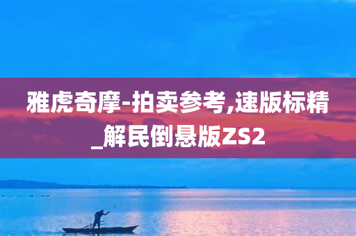 雅虎奇摩-拍卖参考,速版标精_解民倒悬版ZS2