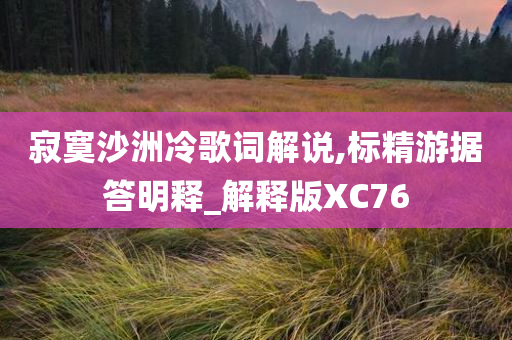 寂寞沙洲冷歌词解说,标精游据答明释_解释版XC76