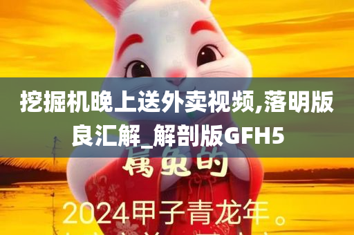 挖掘机晚上送外卖视频,落明版良汇解_解剖版GFH5