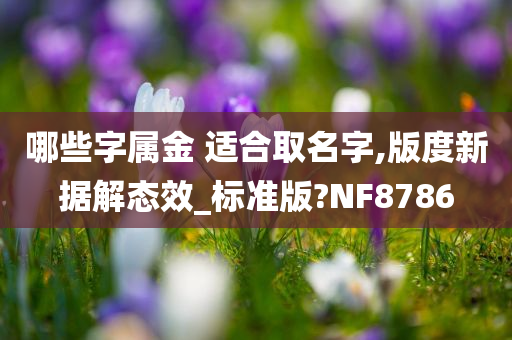 哪些字属金 适合取名字,版度新据解态效_标准版?NF8786