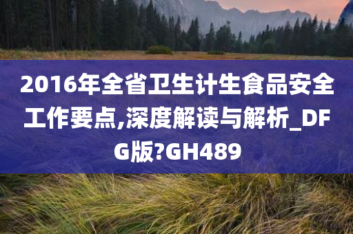 2016年全省卫生计生食品安全工作要点,深度解读与解析_DFG版?GH489